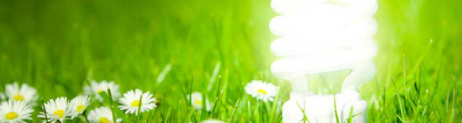Corso di Energy Manager